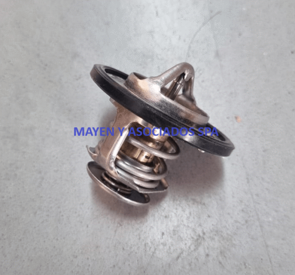 Termostato Maxus T60